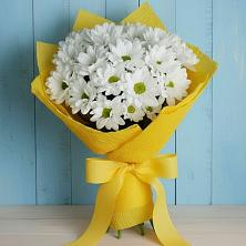 Букет цветов из:  Хризантемы в Гвардейске