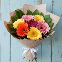 Букет цветов из:  Герберы #REPLACE_PRED# Гвардейске