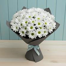 Букет цветов из:  Хризантемы в Гвардейске