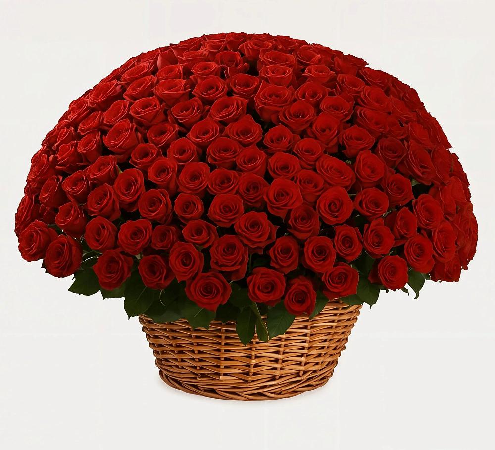 Премиум букет из: Розы в Гвардейске