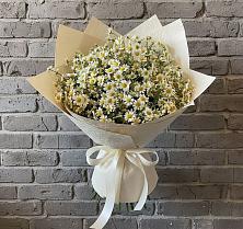 Букет цветов из:  Ромашки #REPLACE_PRED# Гвардейске