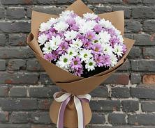 Букет цветов из:  Хризантемы в Гвардейске