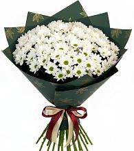 Букет цветов из:  Хризантемы в Гвардейске