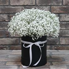 Цветочная композиция из Гипсофила в шляпной коробке в Гвардейске