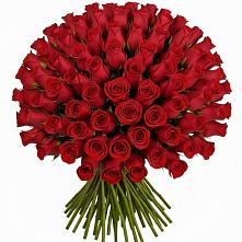 Букет Красные розы Чери Лав в Гвардейске